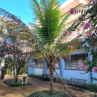 Coco-da-Bahia